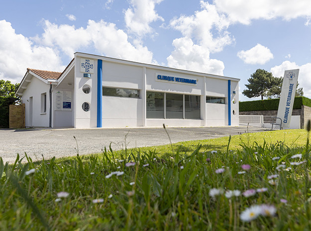 Façade de la Clinique Vétérinaire Saint-Éloi